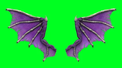 Drache Flügel © Freitag Fotografie