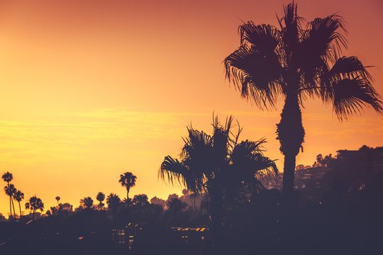 Southern California Coast at Sunset, Laguna Beach, USA