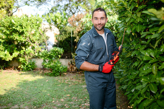 Handsome Young Man Gardener Trimming Hedgerow In A Garden Park Outdoor