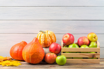 Various pumpkins with colorful maple leaves and ripe apples in a box against light wooden wall background. Autumn and halloween concept. Free space.
