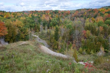 The beautiful Rouge Park in autumn