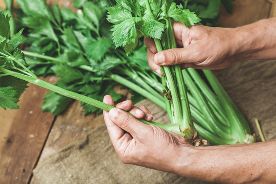 Hands share stalks of celery on green beam