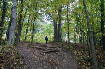 Obraz premium The beautiful Rouge Park in autumn