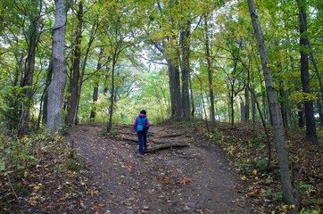 Obraz premium The beautiful Rouge Park in autumn