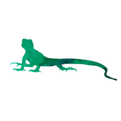  isolated watercolor silhouette of iguana