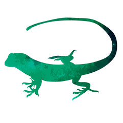  isolated watercolor silhouette of iguana