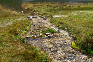 Photo of nature - spring water mountain river and the nice rocky creek on North Caucasus