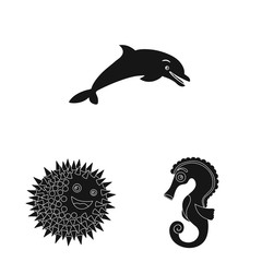 Vector illustration of sea and animal logo. Set of sea and marine stock vector illustration.