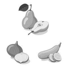 Vector design of vegetable and fruit icon. Set of vegetable and vegetarian stock symbol for web.