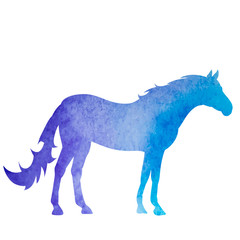 silhouette watercolor horse, on white background, icon