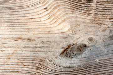 Dry Wooden Texture
