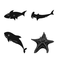 Vector illustration of sea and animal logo. Collection of sea and marine stock vector illustration.