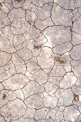 Dry Cracked Earth