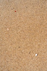 Wet Sand Background