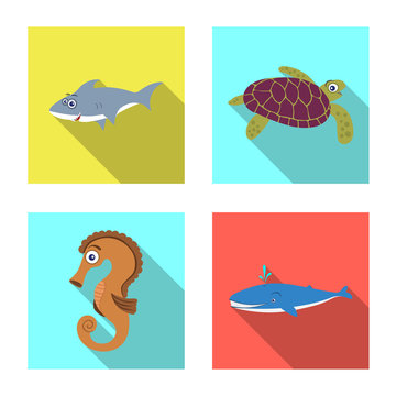 Isolated object of sea and animal sign. Set of sea and marine vector icon for stock.