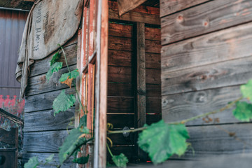 Old tree house with open door