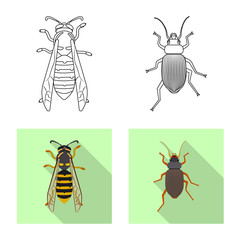 Vector design of insect and fly icon. Collection of insect and element stock vector illustration.