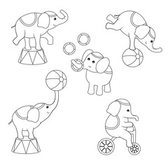 Set of circus animals.