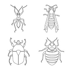 Vector illustration of insect and fly symbol. Set of insect and element stock vector illustration.