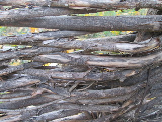 the texture of the wooden fence