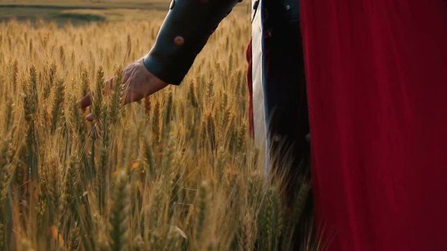 Roman legionary hand running through ripe wheat in the field.
Roman empire illustration.