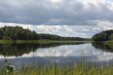 forest lake