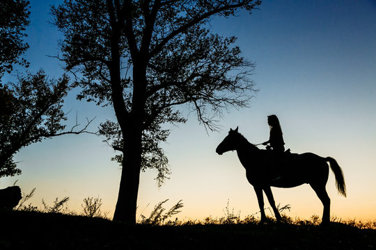 silhouette of a woman riding a horse in a field near a tree. Beautiful sunset sky in the background - Powered by Adobe