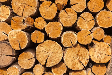 Fototapeta premium Oak firewood stacked in a pile.