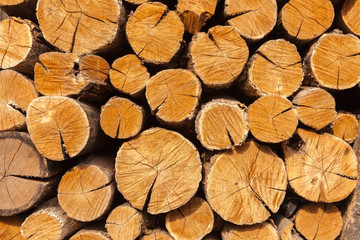 Oak firewood stacked in a pile.