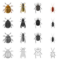 Vector illustration of insect and fly icon. Collection of insect and element stock vector illustration.