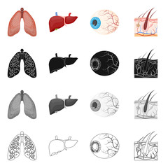 Vector illustration of body and human sign. Set of body and medical vector icon for stock.