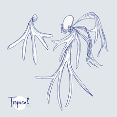 Set of elements for design with tropical plants