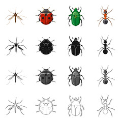 Vector illustration of insect and fly sign. Collection of insect and element vector icon for stock.
