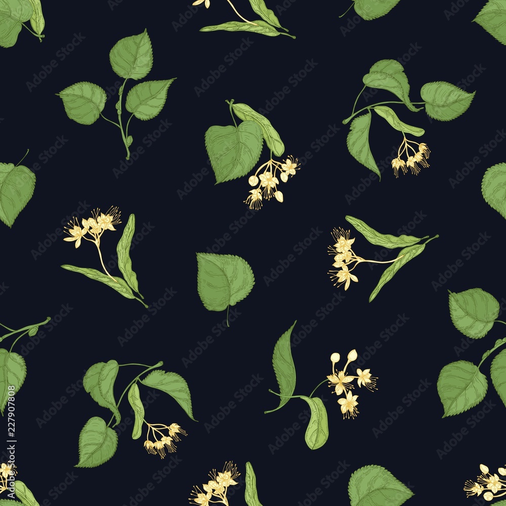 Poster floral seamless pattern with linden leaves and inflorescences on black background. backdrop with med
