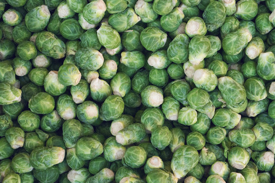 green brussel sprouts for background