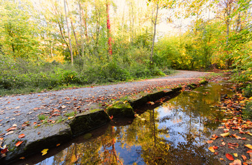 Schönheit des Herbstes, Spätsommer, Indian Summer, wundervolle Farben im Wald, Spiegelung in Wasser, weiches, stimmungsvolles Licht :)