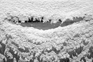 Plastic greenhouse covered with snow in black and white.