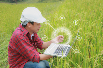 Smart farming, using modern technologies in agriculture. Man agronomist farmer with digital tablet...