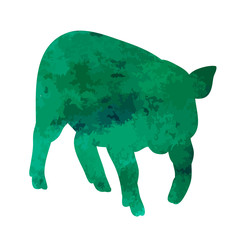watercolor silhouette of a pig