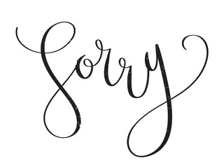 SORRY brush calligraphy banner
