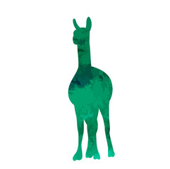 vector, isolated watercolor silhouette of llama