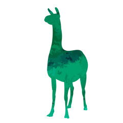 vector, isolated watercolor silhouette of llama