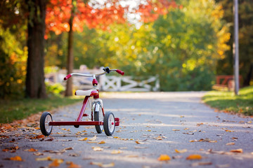 Sweet toddler boy, riding tricycle in the park on sunset, autumn time, siblings in the park