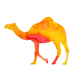 watercolor silhouette of a camel