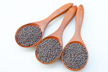 Brown mustard seeds in wood spoon on White background
