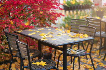 Picture of empty autumn cafe with red and yellow leaves