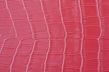 Fototapeta premium Crocodile Leather Texture