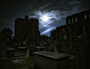 Grave look in the moonlight