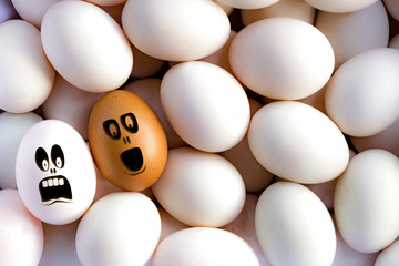 White and Brown eggs with drawn cartoon faces in love on eggs background. Love concept. fresh food