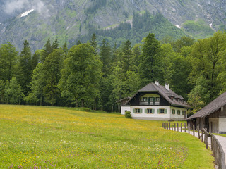 Landschaft am Königsee